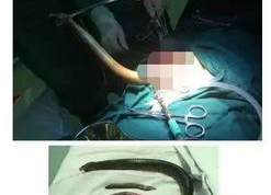 黄鳝钻洞女主播视频,揭秘网络直播的惊悚瞬间