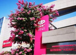 紫薇地产背景,打造绿色宜居，引领城市美好生活