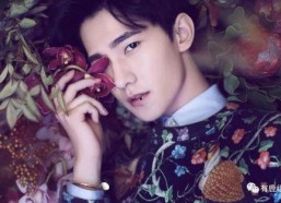 娱乐正当红,盘点当下最热门的明星与热门剧集